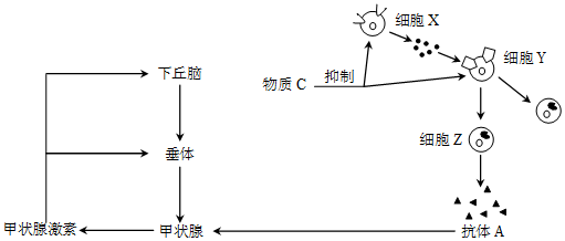 作业帮