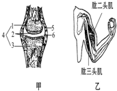 作业帮