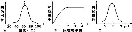 作业帮