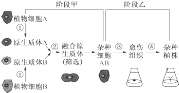 作业帮