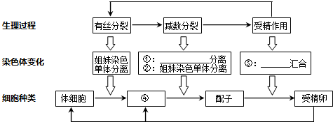 作业帮