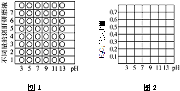 作业帮