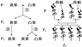 作业帮