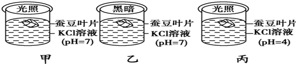 作业帮