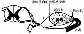 作业帮