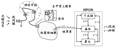 作业帮