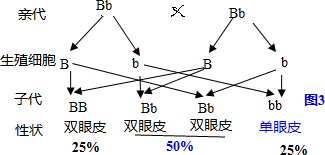 作业帮