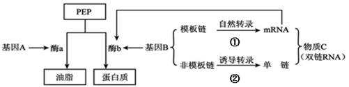 作业帮