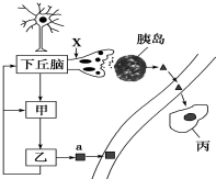 作业帮