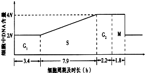 作业帮