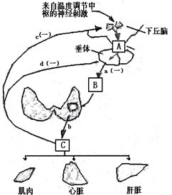 作业帮