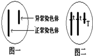 作业帮