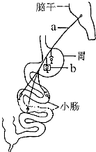 作业帮