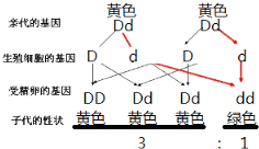 作业帮