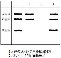 作业帮