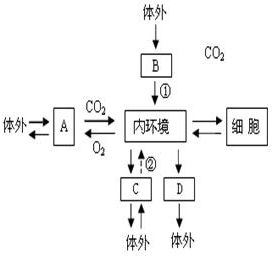 作业帮