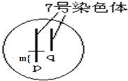 作业帮