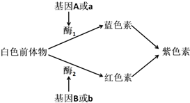 作业帮