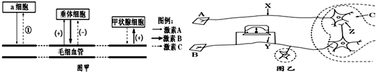 作业帮