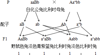 作业帮