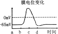 作业帮