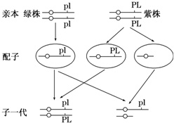 作业帮