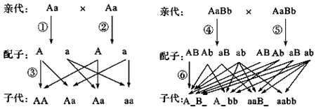 作业帮