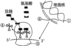 作业帮