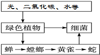 作业帮