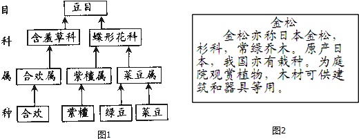 作业帮