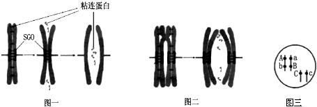 作业帮