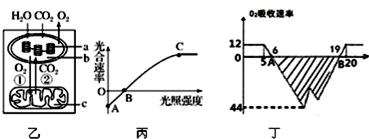 作业帮