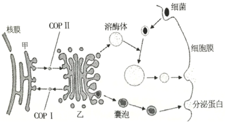 作业帮