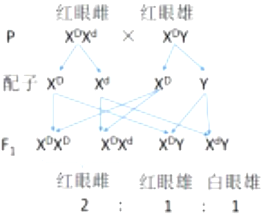 作业帮