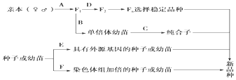 作业帮