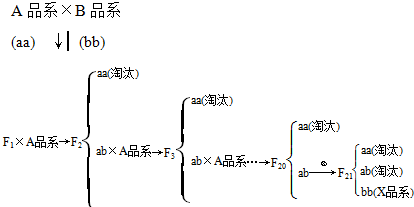 作业帮