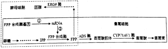 作业帮