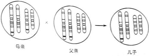 作业帮