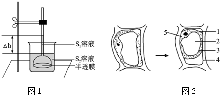 作业帮