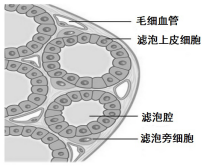 作业帮