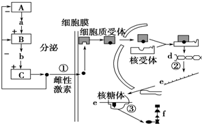 作业帮