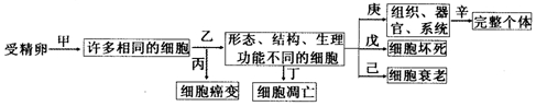 作业帮