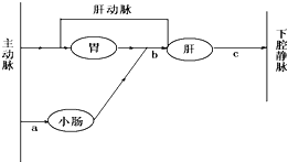 作业帮