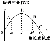 作业帮