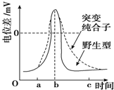 作业帮