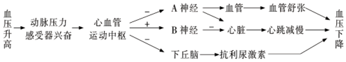 作业帮