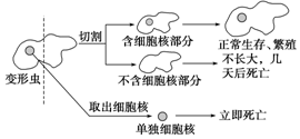 作业帮