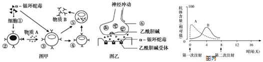 作业帮