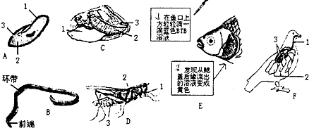 作业帮