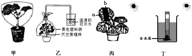 作业帮